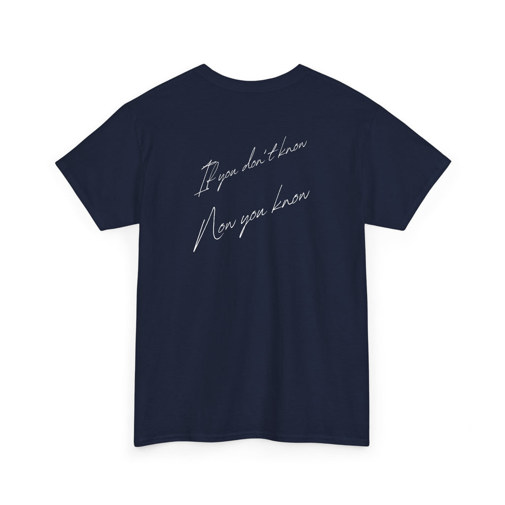 ‘IZ Chicago’ T-Shirt — Retro Stripe Graphic Tee